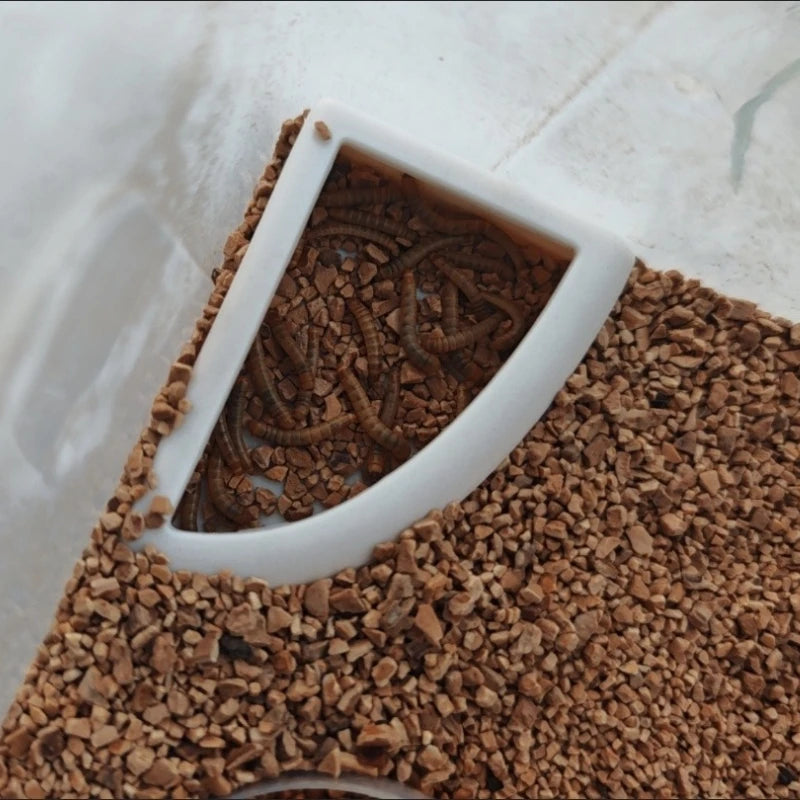 Special Feeding Bowls for Reptiles, Lizards, Hamsters, Anti-escape Mealworm Storage Containers, Pet Feeding Supplies