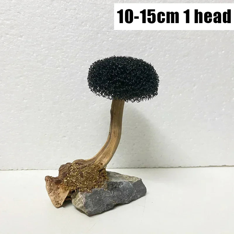 Fish Tank Plant Moss Tree Decoration Landscaping Wood Plant Root Driftwood Aquatic Grass Aquarium Accessories without Moss