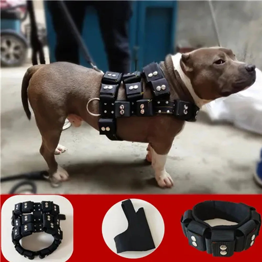 S-XL Empty Shell Weight Carrying Strap Workout Vest with Pockets Muscle Power Training Dog Harness For Large Medium Small Dogs