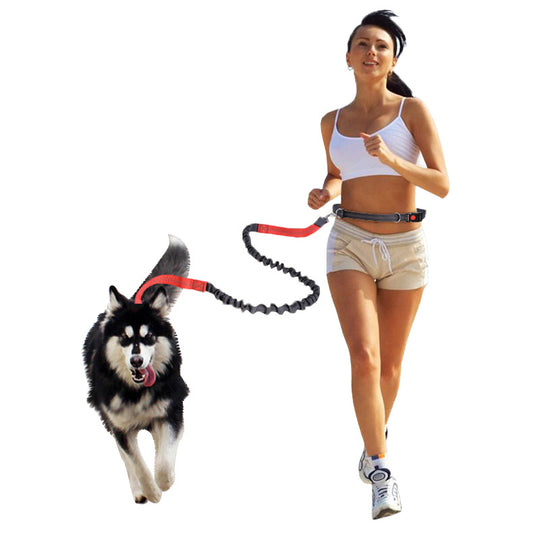 Sports Fitness Reflective Elastic Pet Running Traction Belt