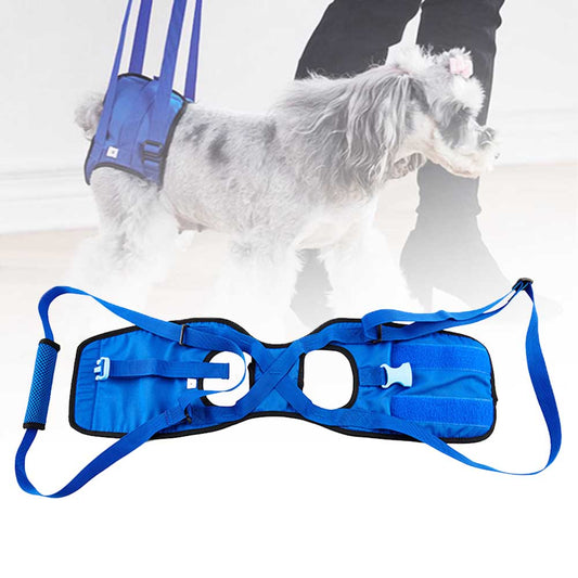 Disabled Dog Support Walking Assist Harness Portable Belt Elastic