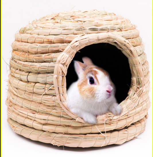 Hamster Nest Warm Winter Pig Hedgehog House