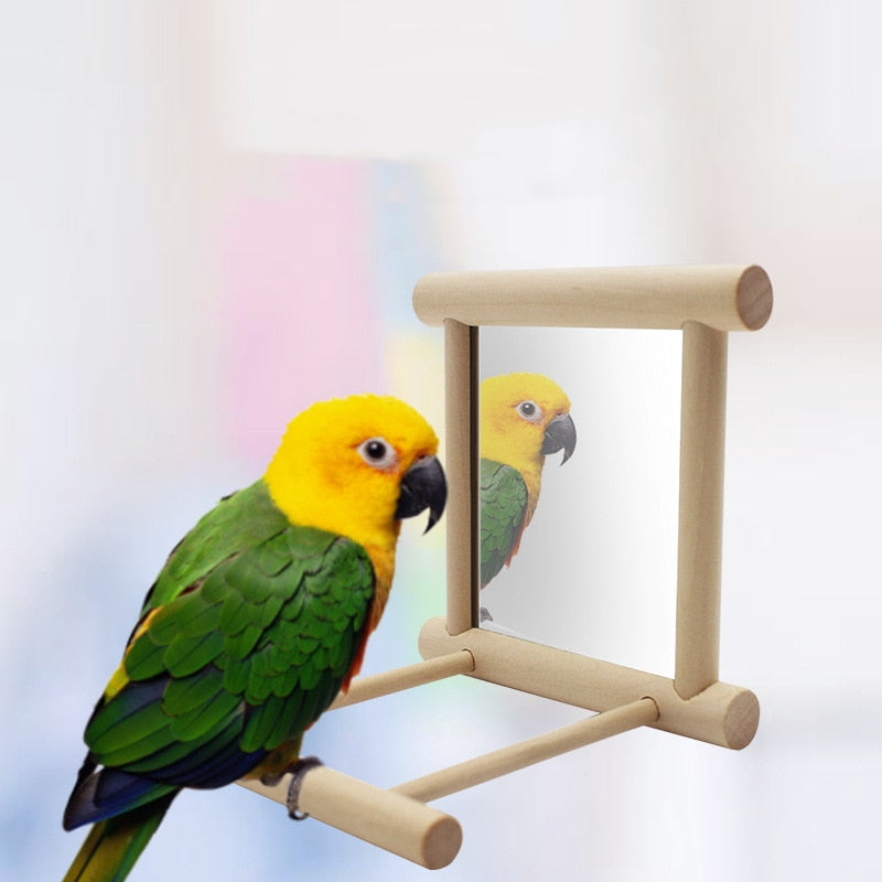 Bird stand with mirror