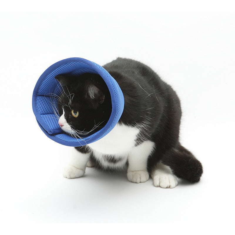 Dog Cat Anti-bite Collar Pet Medical Recovery Collars Transparent Pets Protection Cover Elizabethan Collar Circle For Pet Supplies