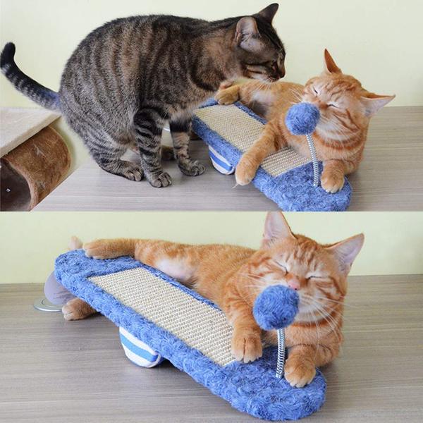 Cat kitten, seesaw toy