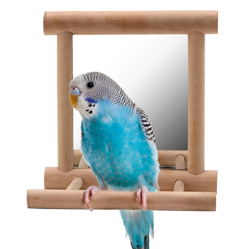 Bird stand with mirror