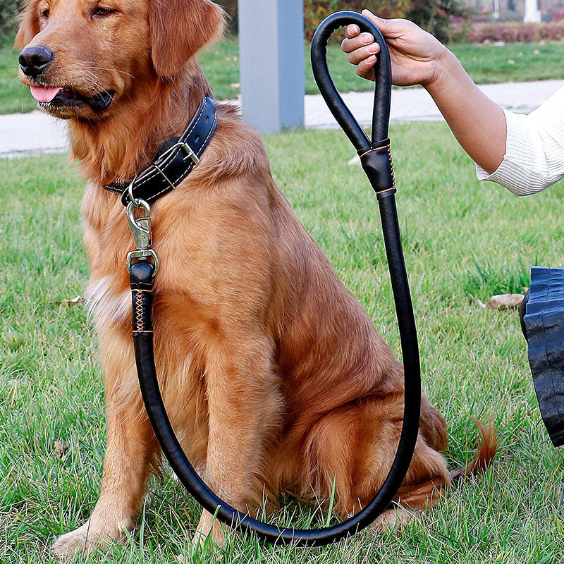 Collar Traction Rope And Dog Walking Leash Set