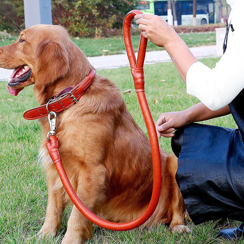 Collar Traction Rope And Dog Walking Leash Set