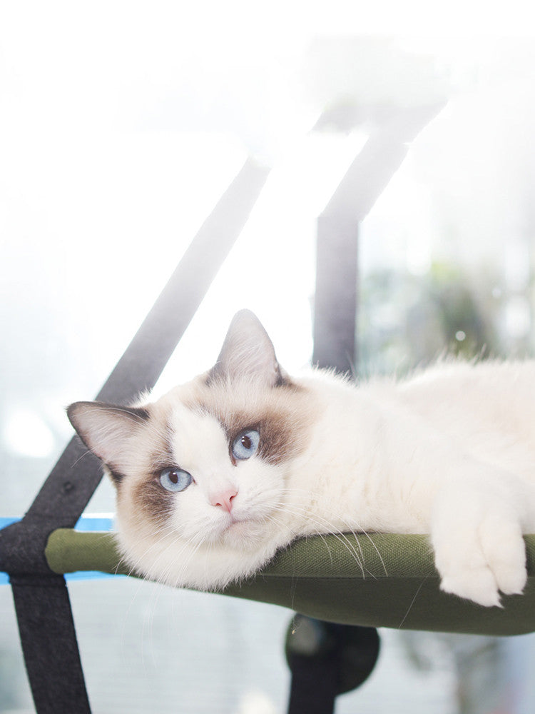Cat Hammock Cat Litter Pet Bed Cat Hanging Litter Suction Cup Type Window Sill Cat Swing